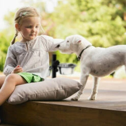 RELAXDAYS 2 Pièces Home Sweet Hund Deluxe M Avec Un Tabouret Niche Pour Chien Et Une Double Gamelle Hauteur Réglable, Noir -Niche, chenil, enclos et parc pour chien Soldes 2022 11517809 5