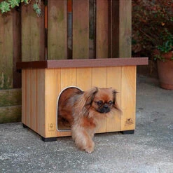 Ferplast BAITA Niche Pour Chiens En Bois De Pin Nordique FSC - 5 Tailles. Variante BAITA 50 - Mesures: 56 X 46.5 X H 41.5 Cm - 8 Ferplast BAITA Niche Pour Chiens En Bois De Pin Nordique FSC - 5 Tailles. Variante BAITA 50 - Mesures: 56 X 46.5 X H 41.5 Cm - -Niche, chenil, enclos et parc pour chien Soldes 2022 12573531 4