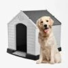 BELLA PET Niche Pour Grands Chiens Dans Un Jardin En Plastique Bobby