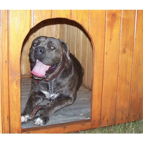 Habrita Niche à Chien Bi-pente Pour Chiens Moyens - 0,96 M² 5 Habrita Niche à Chien Bi-pente Pour Chiens Moyens - 0,96 M² – Image 5