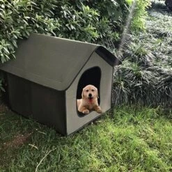 BETTERLIFE Niche Pour Chien Exterieur | Maison Pour Chat Étanche | Cabane Chat Exterieur Hiver Pour Animaux De Compagnie | Abri Ecologiques Pliable Pour Chat/Lapin/Petit Chien（vert） -Niche, chenil, enclos et parc pour chien Soldes 2022 31991675 3