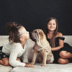 Relaxdays Enclos Pour Chiots Avec Fond, Parc Pour Petits Chiens, Lapins Et Chiots, Intérieur, Haut, Taille L, Noir -Niche, chenil, enclos et parc pour chien Soldes 2022 32828123 3