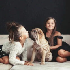 Relaxdays Enclos Pour Chiots Avec Fond, Parc Pour Petits Chiens, Lapins Et Chiots, Intérieur, Haut, Taille M, Noir -Niche, chenil, enclos et parc pour chien Soldes 2022 34033840 3