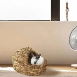 BARES Nid De Compagnie - Lit Naturel Et Nid D'herbe, Nid En Tissé Pour Animaux De Compagnie, Lit D'animal Tissé D'herbe Et Jouets Pour Des Cobayes Chinchillas Et Lapins 6 BARES Nid De Compagnie - Lit Naturel Et Nid D'herbe, Nid En Tissé Pour Animaux De Compagnie, Lit D'animal Tissé D'herbe Et Jouets Pour Des Cobayes Chinchillas Et Lapins -Niche, chenil, enclos et parc pour chien Soldes 2022 35612538 3