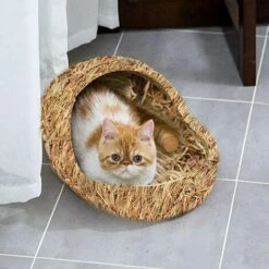 BARES Nid De Compagnie - Lit Naturel Et Nid D'herbe, Nid En Tissé Pour Animaux De Compagnie, Lit D'animal Tissé D'herbe Et Jouets Pour Des Cobayes Chinchillas Et Lapins 7 BARES Nid De Compagnie - Lit Naturel Et Nid D'herbe, Nid En Tissé Pour Animaux De Compagnie, Lit D'animal Tissé D'herbe Et Jouets Pour Des Cobayes Chinchillas Et Lapins -Niche, chenil, enclos et parc pour chien Soldes 2022 35612538 4