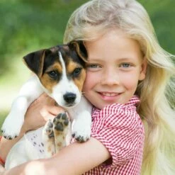 BB-LOISIRAM Niche Chien En Bois Moderne De Haute Qualite BELLA 223 Taille XL 97 X 111 X 108 Cm -Niche, chenil, enclos et parc pour chien Soldes 2022 49700297 4