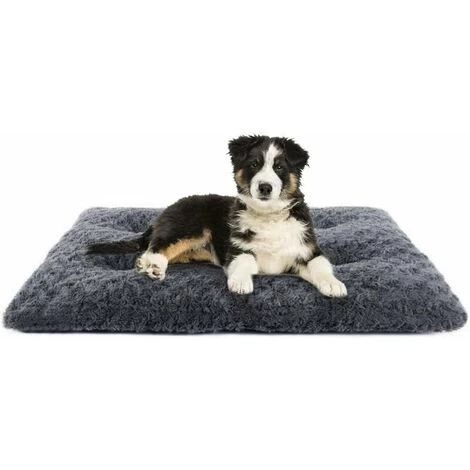 IRISFR Lit Pour Chien Coussin De Couchage En Peluche Court Coussin Pour Animaux De Compagnie En Velours Rose Avec Fond Antidérapant (L, Dark Grey),Lilaris 1 IRISFR Lit Pour Chien Coussin De Couchage En Peluche Court Coussin Pour Animaux De Compagnie En Velours Rose Avec Fond Antidérapant (L, Dark Grey),Lilaris